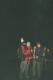 N�hodn� fotka z albumu